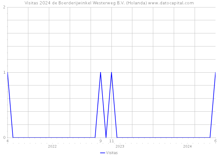 Visitas 2024 de Boerderijwinkel Westerweg B.V. (Holanda) 