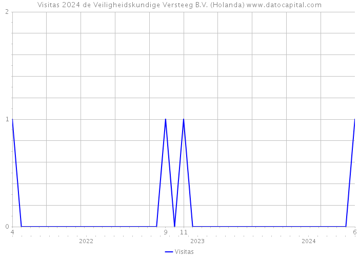 Visitas 2024 de Veiligheidskundige Versteeg B.V. (Holanda) 