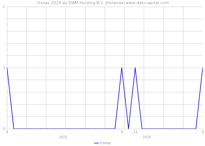 Visitas 2024 de DWM Holding B.V. (Holanda) 