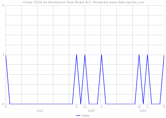 Visitas 2024 de Heemskerk Real Estate B.V. (Holanda) 