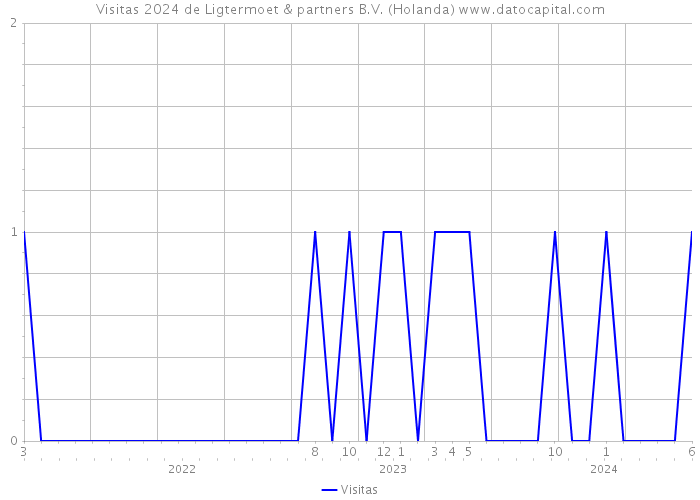 Visitas 2024 de Ligtermoet & partners B.V. (Holanda) 