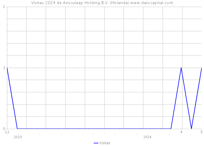 Visitas 2024 de Aesculaap Holding B.V. (Holanda) 