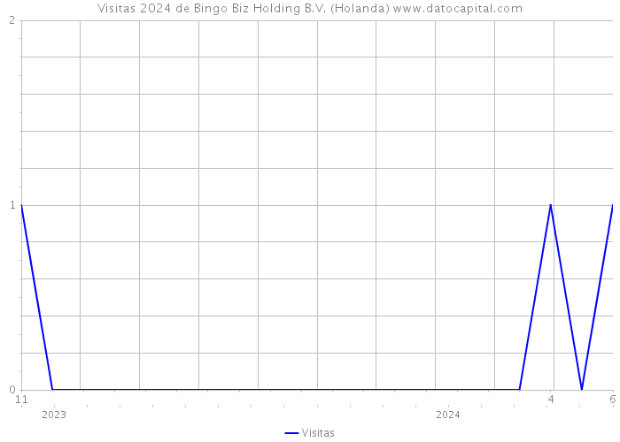 Visitas 2024 de Bingo Biz Holding B.V. (Holanda) 