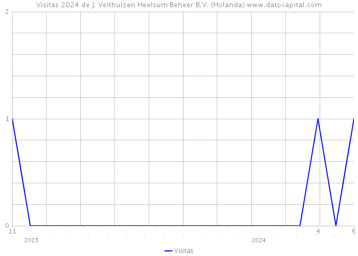 Visitas 2024 de J. Velthuizen Heelsum Beheer B.V. (Holanda) 