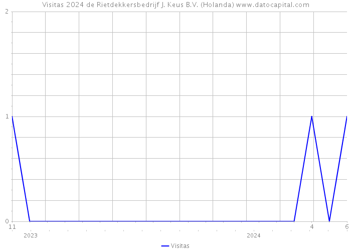 Visitas 2024 de Rietdekkersbedrijf J. Keus B.V. (Holanda) 