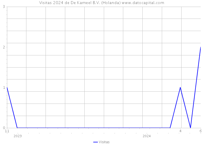 Visitas 2024 de De Kameel B.V. (Holanda) 