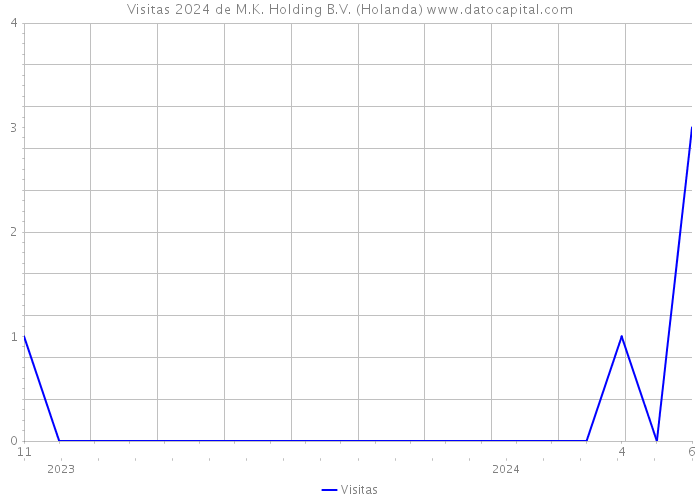 Visitas 2024 de M.K. Holding B.V. (Holanda) 