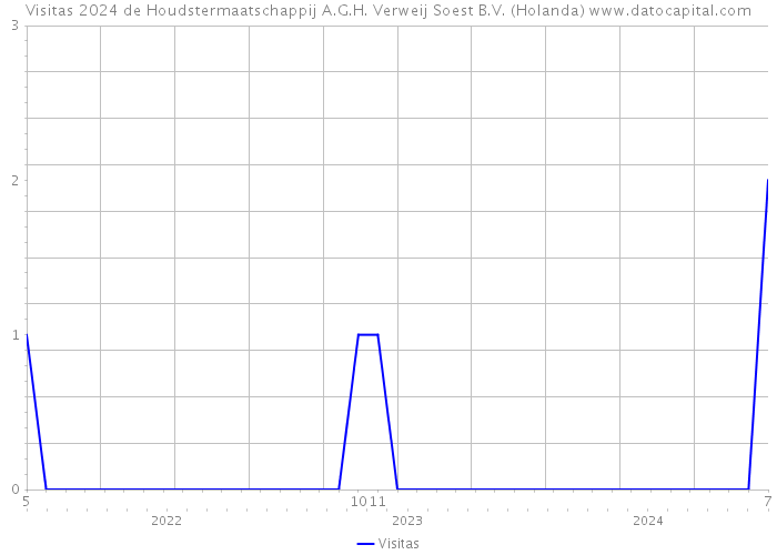 Visitas 2024 de Houdstermaatschappij A.G.H. Verweij Soest B.V. (Holanda) 