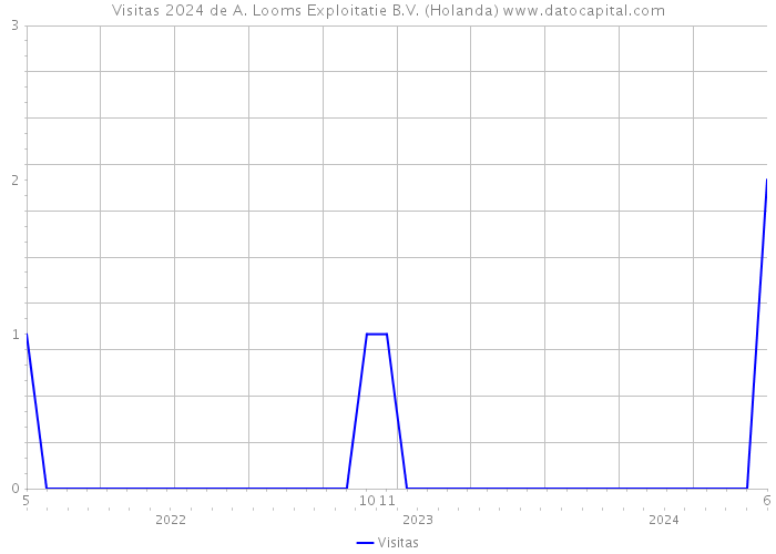 Visitas 2024 de A. Looms Exploitatie B.V. (Holanda) 