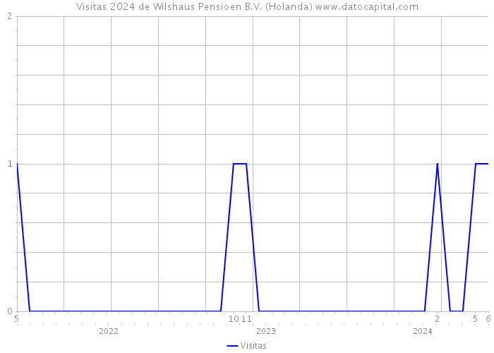 Visitas 2024 de Wilshaus Pensioen B.V. (Holanda) 