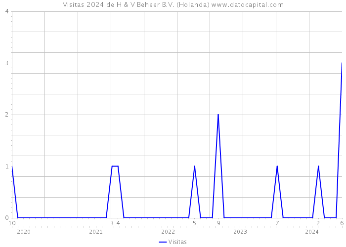 Visitas 2024 de H & V Beheer B.V. (Holanda) 