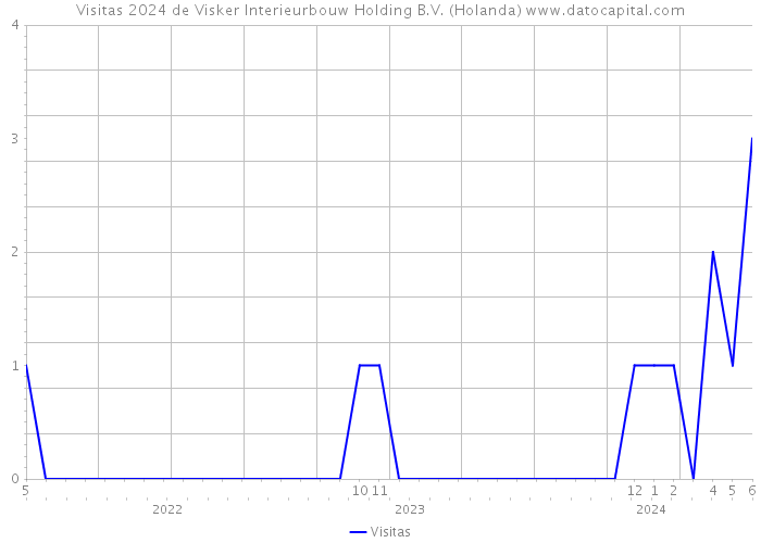 Visitas 2024 de Visker Interieurbouw Holding B.V. (Holanda) 