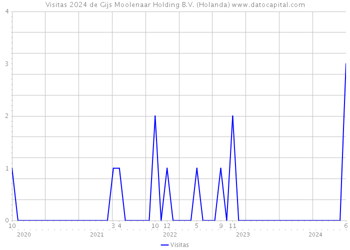 Visitas 2024 de Gijs Moolenaar Holding B.V. (Holanda) 