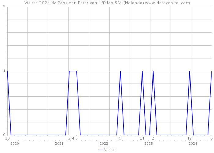 Visitas 2024 de Pensioen Peter van Uffelen B.V. (Holanda) 