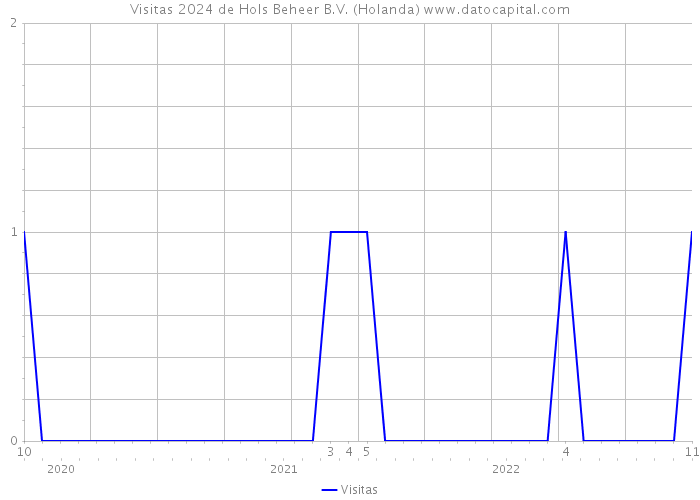 Visitas 2024 de Hols Beheer B.V. (Holanda) 