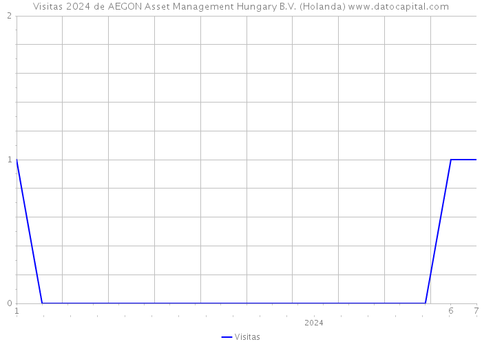 Visitas 2024 de AEGON Asset Management Hungary B.V. (Holanda) 