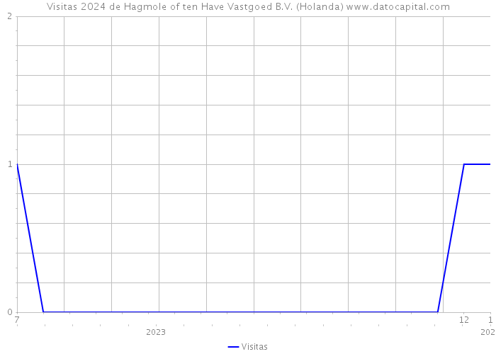 Visitas 2024 de Hagmole of ten Have Vastgoed B.V. (Holanda) 