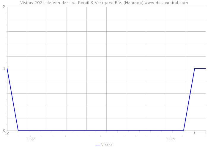 Visitas 2024 de Van der Loo Retail & Vastgoed B.V. (Holanda) 