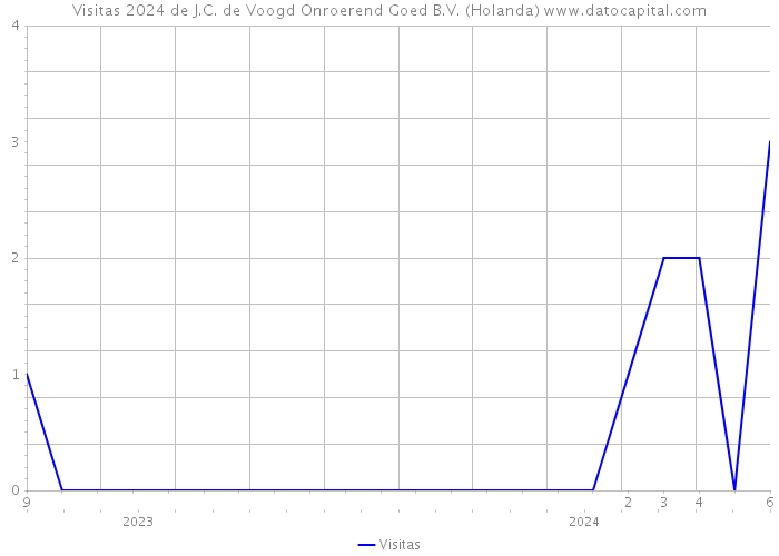 Visitas 2024 de J.C. de Voogd Onroerend Goed B.V. (Holanda) 