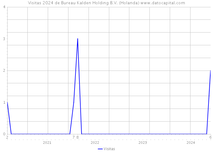 Visitas 2024 de Bureau Kalden Holding B.V. (Holanda) 
