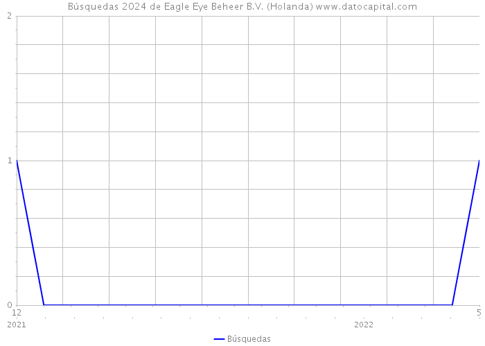 Búsquedas 2024 de Eagle Eye Beheer B.V. (Holanda) 
