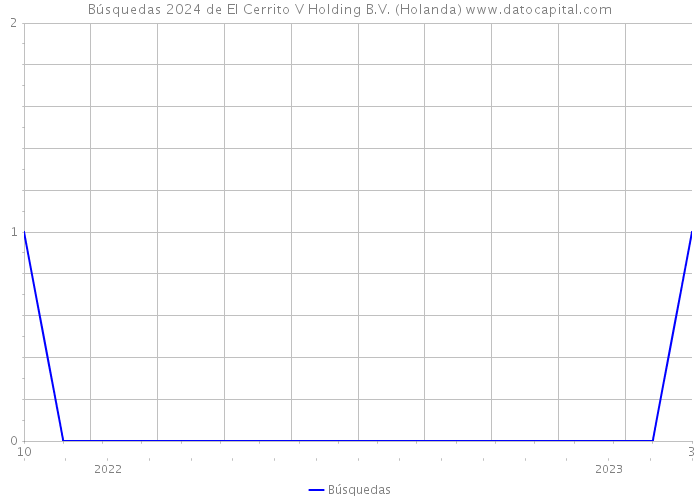 Búsquedas 2024 de El Cerrito V Holding B.V. (Holanda) 