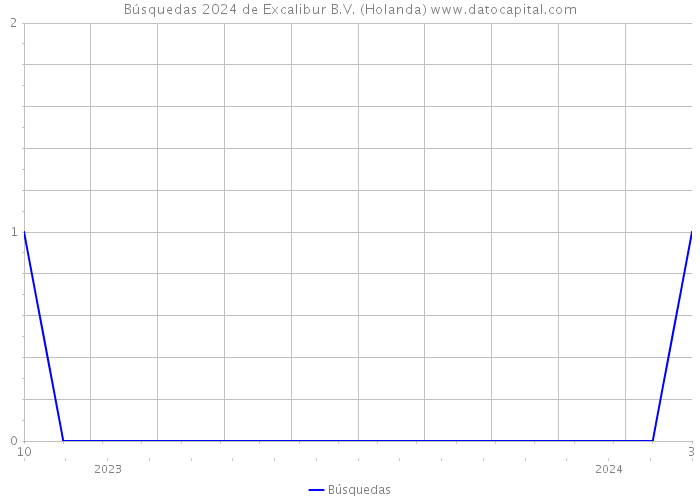 Búsquedas 2024 de Excalibur B.V. (Holanda) 