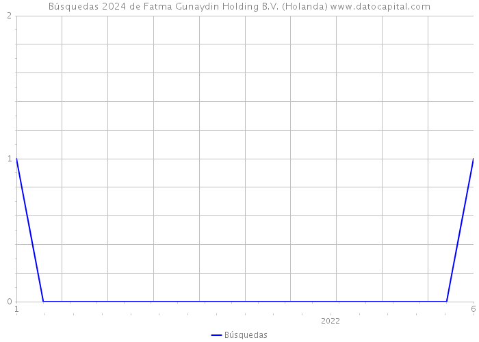 Búsquedas 2024 de Fatma Gunaydin Holding B.V. (Holanda) 