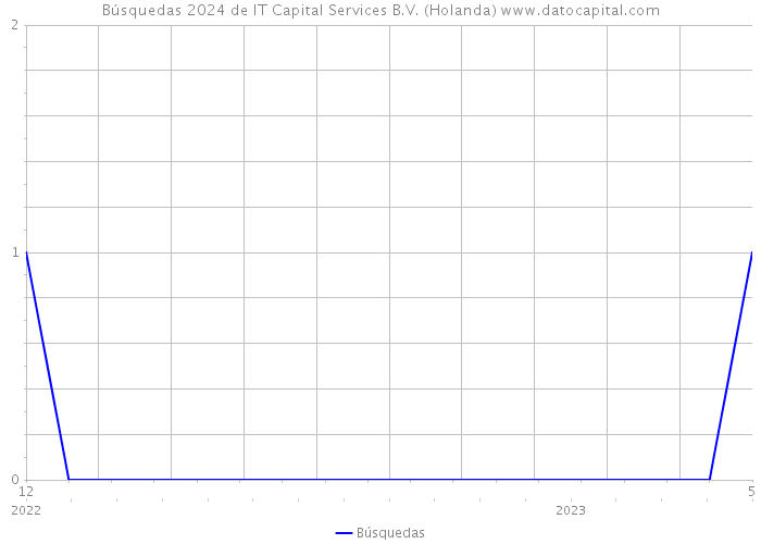 Búsquedas 2024 de IT Capital Services B.V. (Holanda) 
