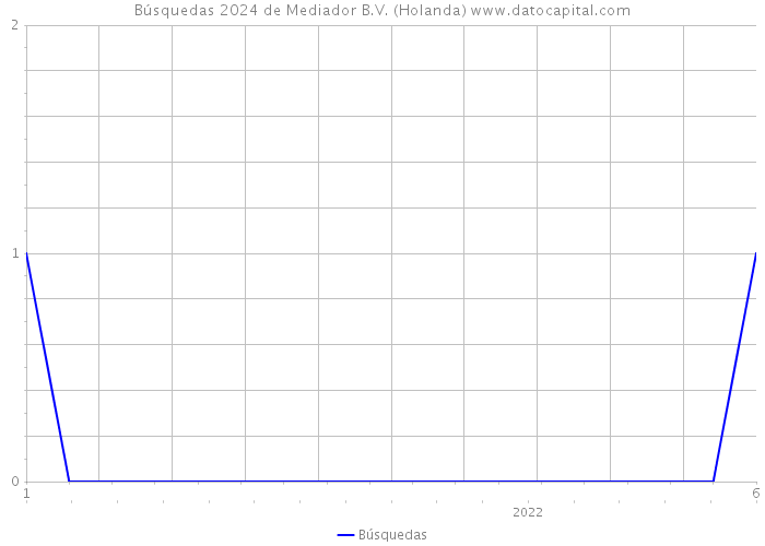 Búsquedas 2024 de Mediador B.V. (Holanda) 