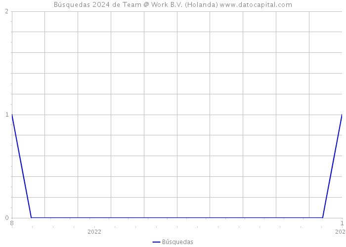 Búsquedas 2024 de Team @ Work B.V. (Holanda) 