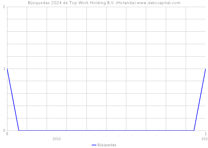 Búsquedas 2024 de Top Work Holding B.V. (Holanda) 