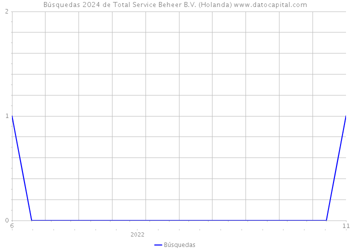 Búsquedas 2024 de Total Service Beheer B.V. (Holanda) 
