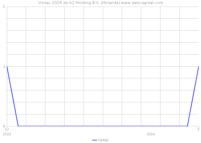 Visitas 2024 de A2 Holding B.V. (Holanda) 