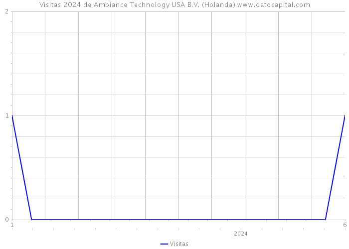 Visitas 2024 de Ambiance Technology USA B.V. (Holanda) 