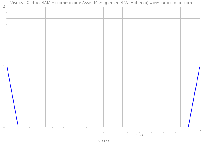 Visitas 2024 de BAM Accommodatie Asset Management B.V. (Holanda) 