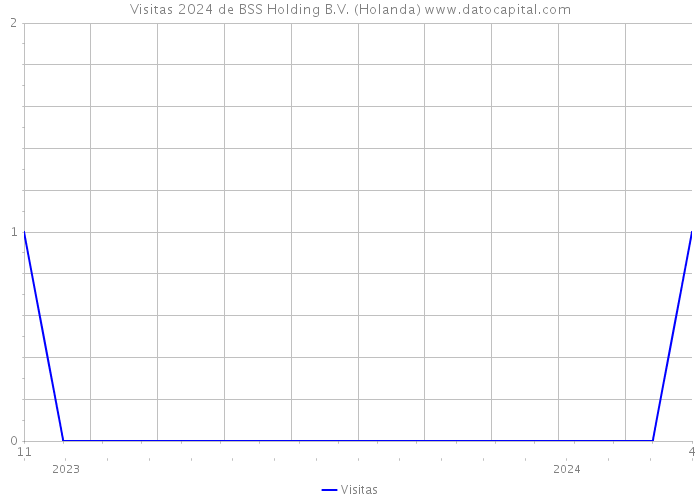 Visitas 2024 de BSS Holding B.V. (Holanda) 