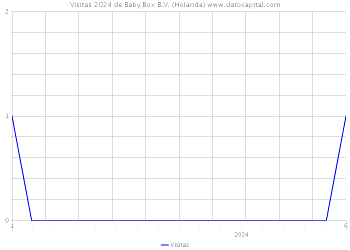 Visitas 2024 de Baby Box B.V. (Holanda) 