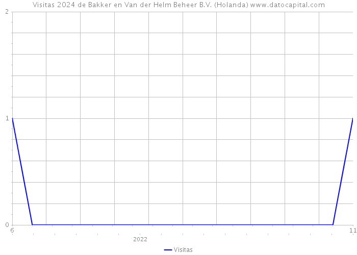 Visitas 2024 de Bakker en Van der Helm Beheer B.V. (Holanda) 