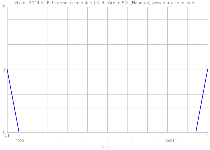 Visitas 2024 de Beheermaatschappij A.J.A. de Groen B.V. (Holanda) 