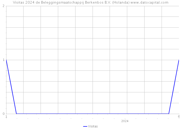 Visitas 2024 de Beleggingsmaatschappij Berkenbos B.V. (Holanda) 