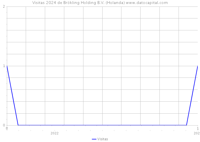 Visitas 2024 de Brökling Holding B.V. (Holanda) 