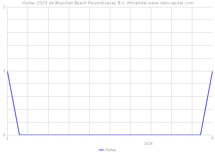 Visitas 2024 de Brazilian Beach Reivindicacao B.V. (Holanda) 