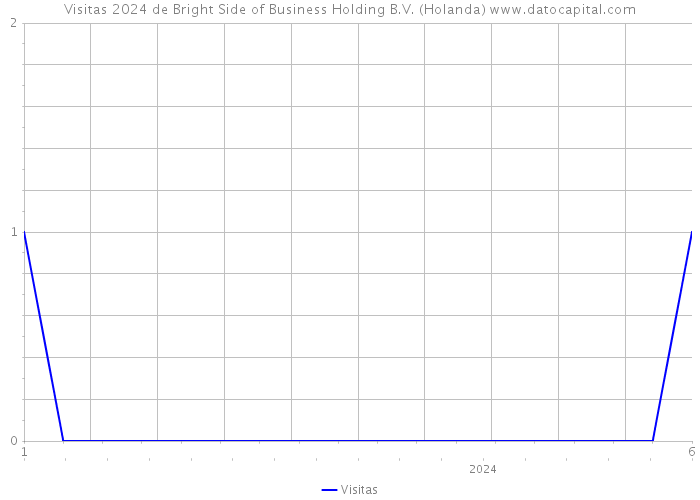 Visitas 2024 de Bright Side of Business Holding B.V. (Holanda) 