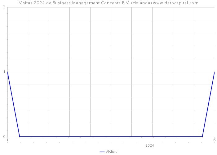 Visitas 2024 de Business Management Concepts B.V. (Holanda) 