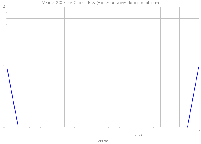 Visitas 2024 de C for T B.V. (Holanda) 