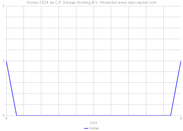 Visitas 2024 de C.P. Schaap Holding B.V. (Holanda) 