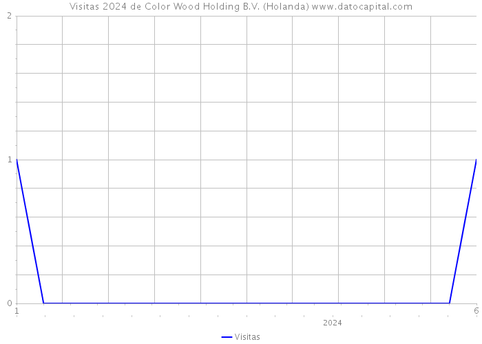 Visitas 2024 de Color Wood Holding B.V. (Holanda) 