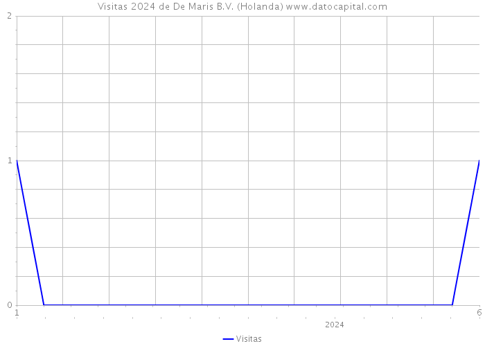 Visitas 2024 de De Maris B.V. (Holanda) 