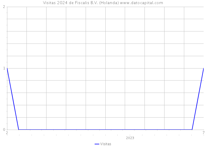 Visitas 2024 de Fiscalis B.V. (Holanda) 